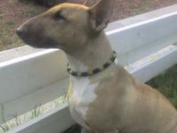 lilou_20211129_1775831483